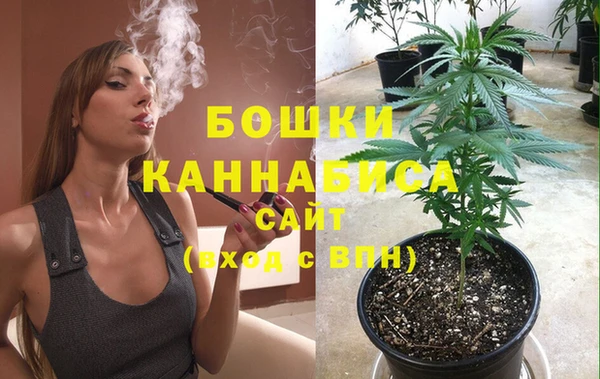 сатива Костерёво