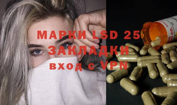 прущие грибы Арсеньев