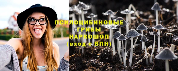 прущие грибы Арсеньев
