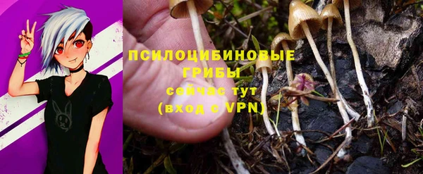 спайс Аркадак